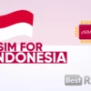 Indonesia 20GB for 30 Days eSIM