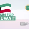 Kuwait 20GB for 30 days eSIM